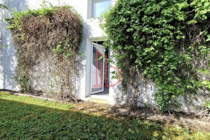 L’immobilier durable : la performance énergétique comme nouveau moteur de valeur