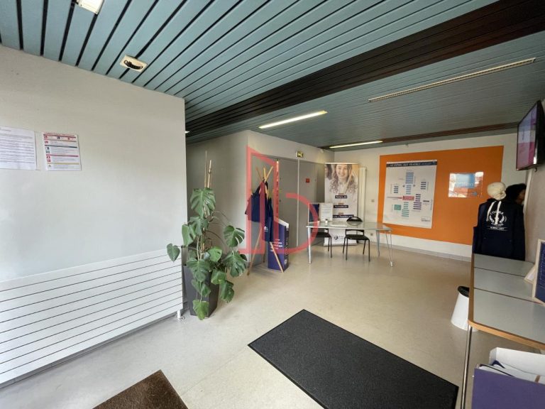 Location de bureau Bordeaux 660 m²